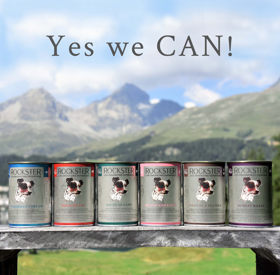 Yes we CAN! Is it really possible that a canned food could be healthier than fresh or frozen?