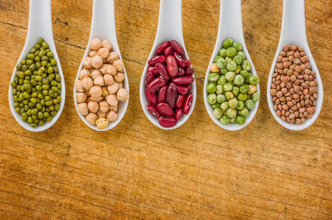 Decoding DCM, Diet & Amino Acids... Why do we exclude not only grain but also peas, lentils and legumes?